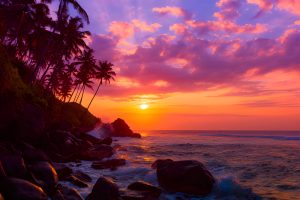Simple tips for Moving to hawaii